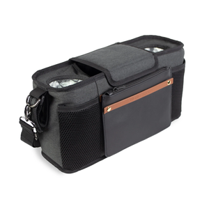 Parent Console | 2-Seater Model